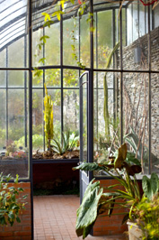 Bring Nature Inside With an Indoor Greenhouse Image